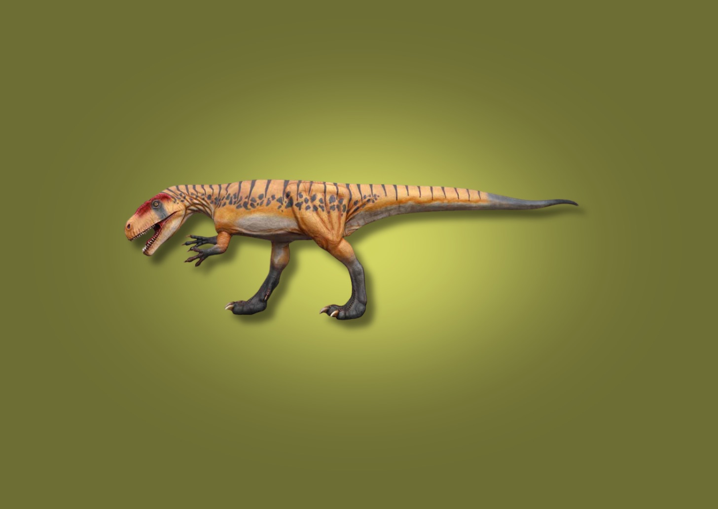 Neovenator